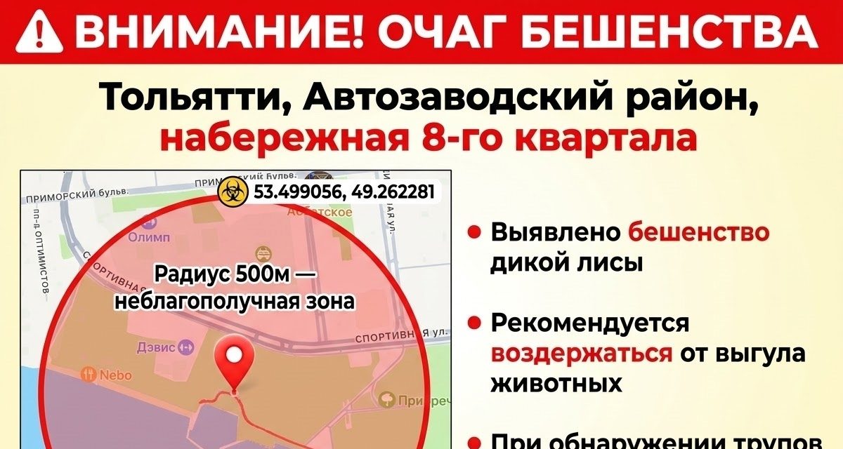 У набережной 8 квартала нашли павшую лису с бешенством