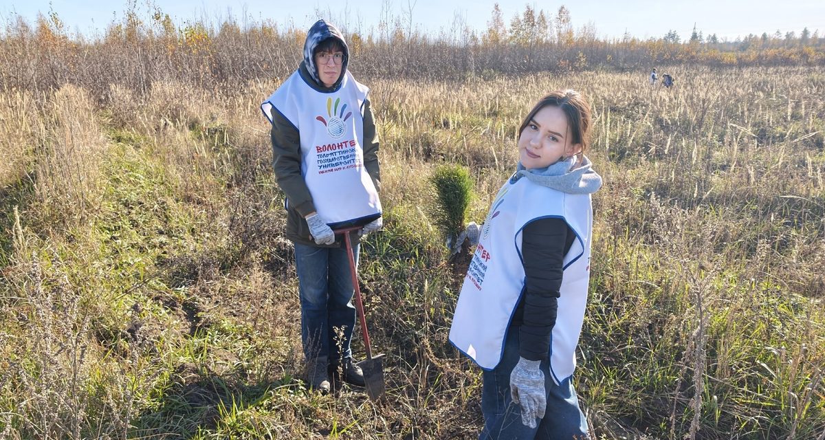 В Тольятти высадили более трёх тысяч сеянцев сосны для восстановления леса