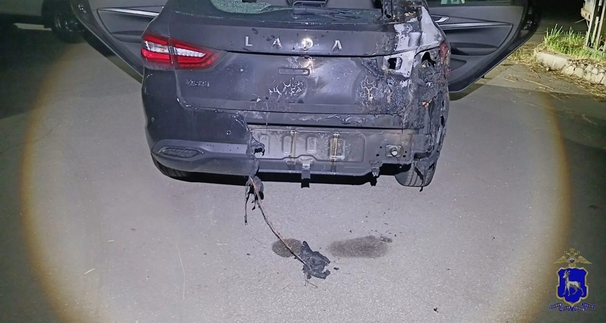 В Тольятти задержали мужчину, который поджёг Lada Vesta из‑за подорожавшей машины